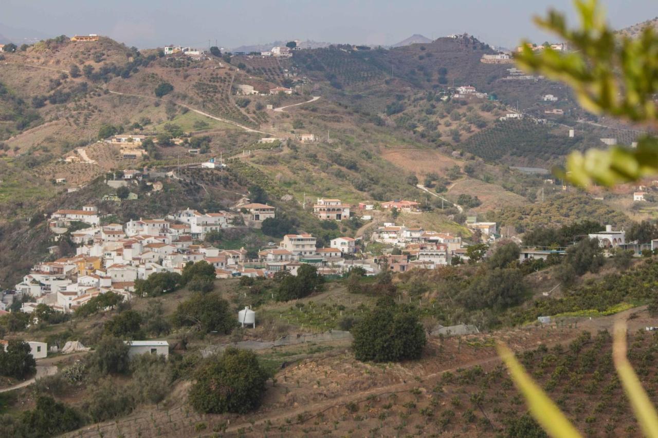 Finca La Vida Tranquila Velez Malaga Ngoại thất bức ảnh