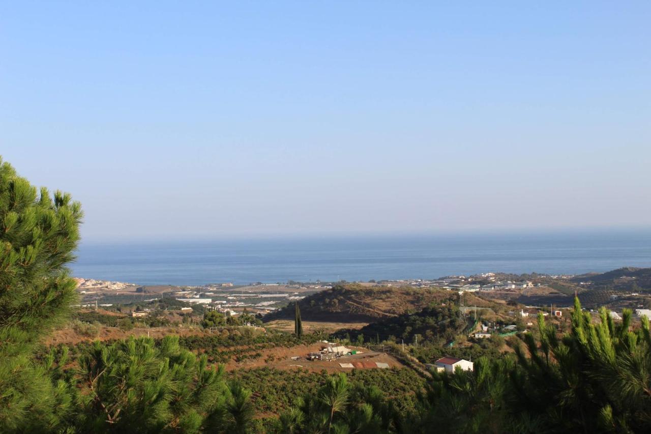 Finca La Vida Tranquila Velez Malaga Ngoại thất bức ảnh